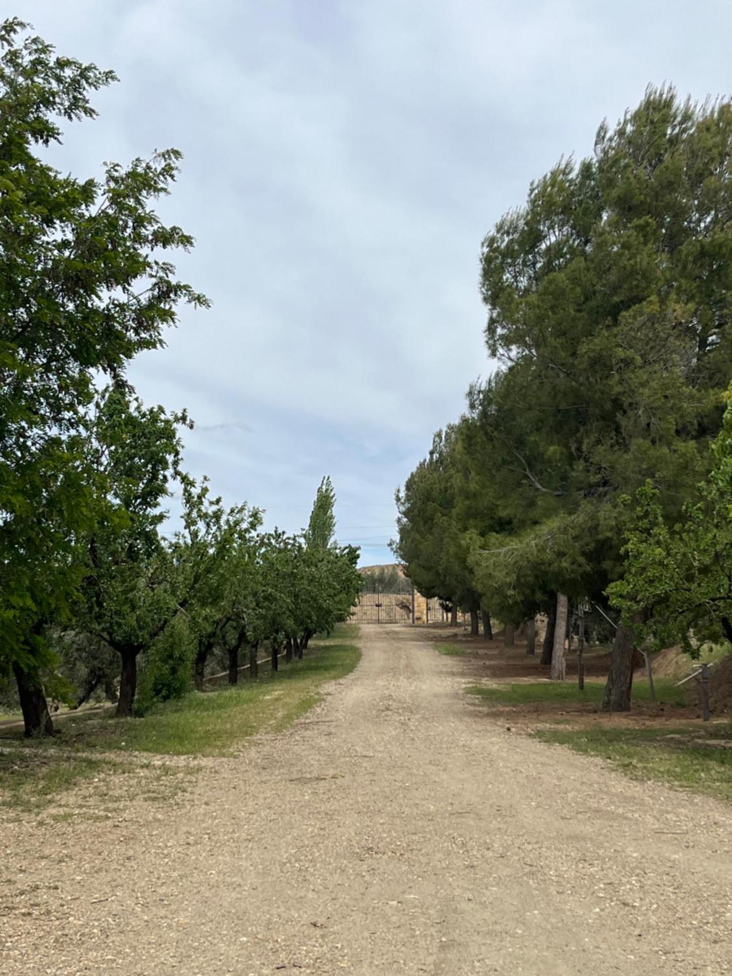 Cortijo Don Meliton Villa Guadix Esterno foto